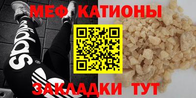 стафф Кингисепп