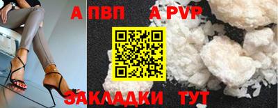 стафф Кингисепп