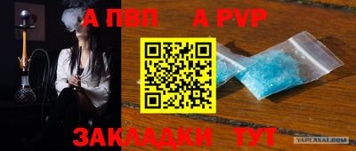 стафф Кингисепп