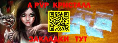 стафф Кингисепп