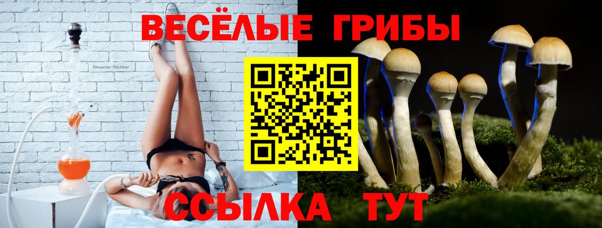 Галлюциногенные грибы MAGIC MUSHROOMS Добрянка