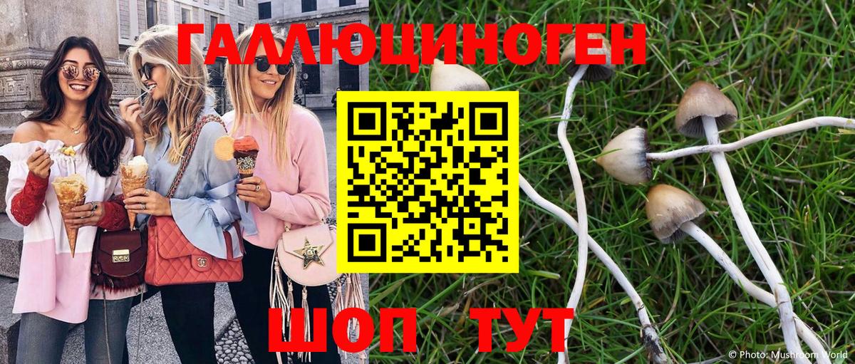 Галлюциногенные грибы прущие грибы  Вход с VPN  Добрянка 