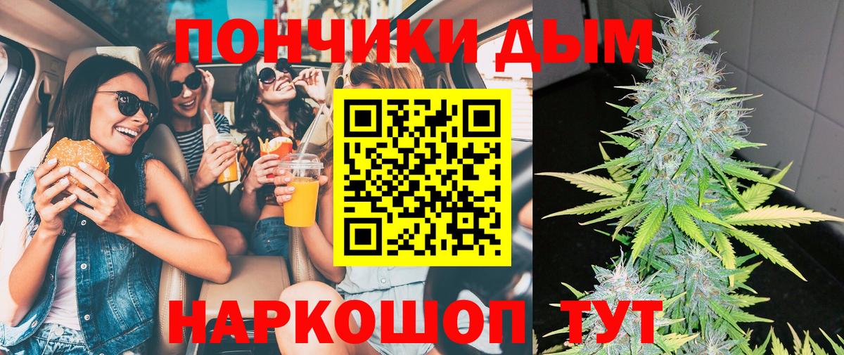 Бошки Шишки семена Добрянка